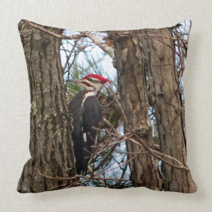 Coussin masculin de pivert de Pileated