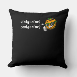 Coussin Math Algebra Tangerine Funny Science Plaisanterie