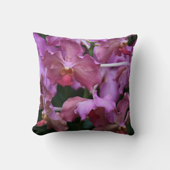 Coussin mauve d'orchidée de Singapour (Recto)