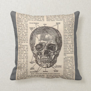 Coussin Médicale de crâne humain d'anatomie