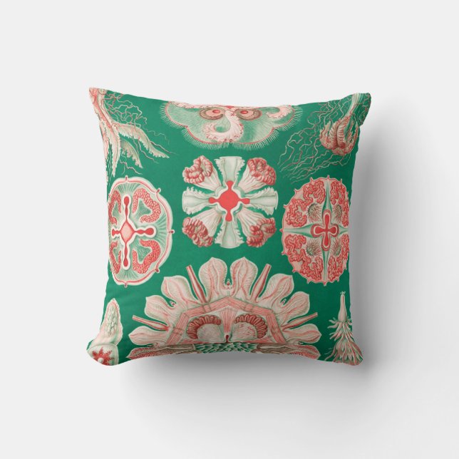 Coussin Méduses, Discomedusae par Ernst Haeckel (Recto)