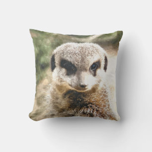 COUSSIN MEERKAT
