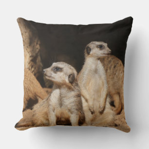 Coussin Meerkat 003