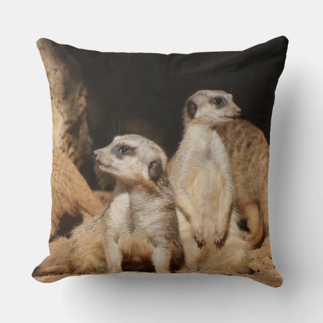 Coussin Meerkat 003 (Recto)