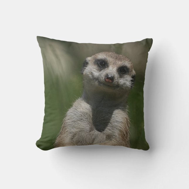 Coussin Meerkat 004 (Recto)