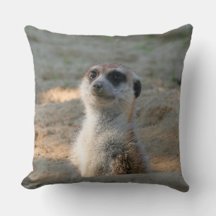 Coussin Meerkat 004