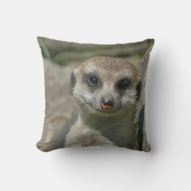 Coussin Meerkat 005 (Recto)