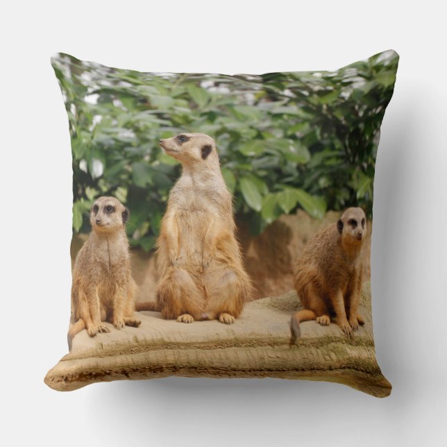 Coussin Meerkat 008 (Recto)
