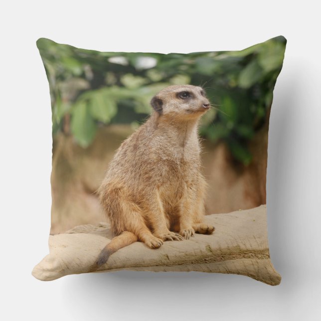 Coussin Meerkat 010 (Recto)