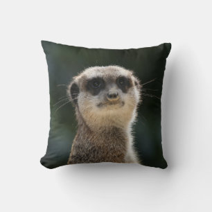 Coussin Meerkat 017