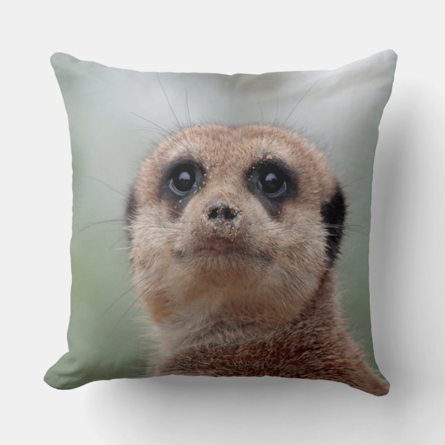 Coussin Meerkat 020 (Recto)
