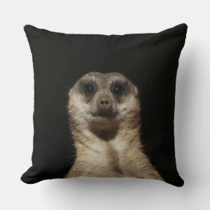 Coussin Meerkat 040