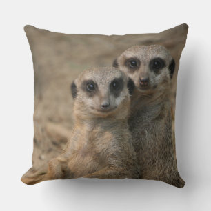 Coussin Meerkat 067