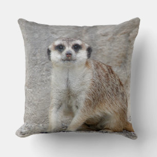 Coussin Meerkat 134