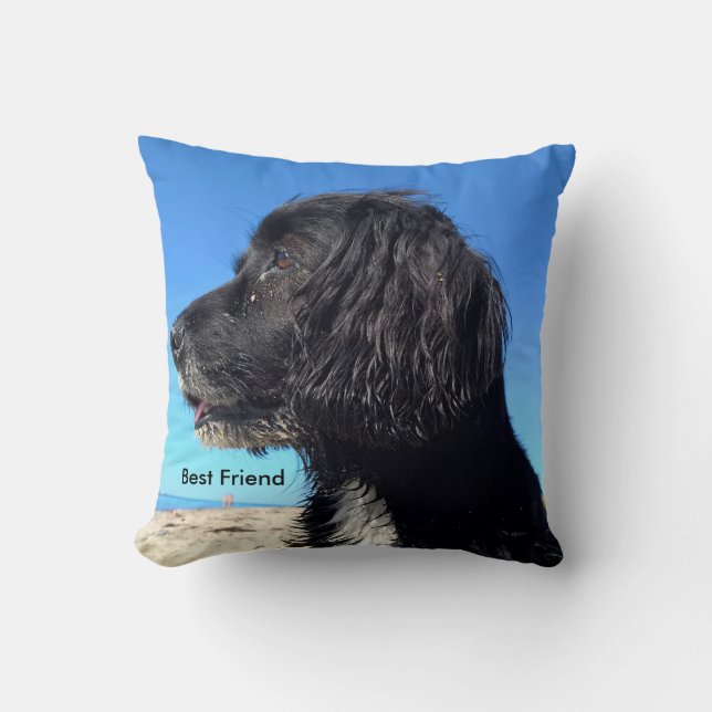 Coussin Meilleur ami (Recto)