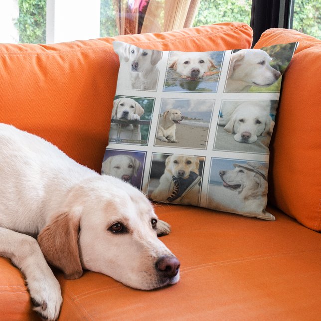 Coussin Meilleur Chien De Tous Les Temps Collage Photo Mod (Créateur téléchargé)