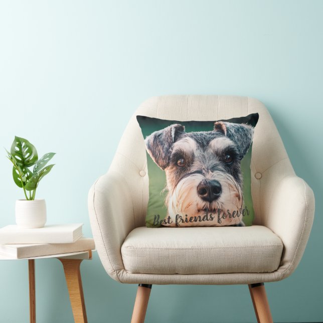 Coussin Meilleurs Amis Forever Personnalisé Animaux de com (Chaise)