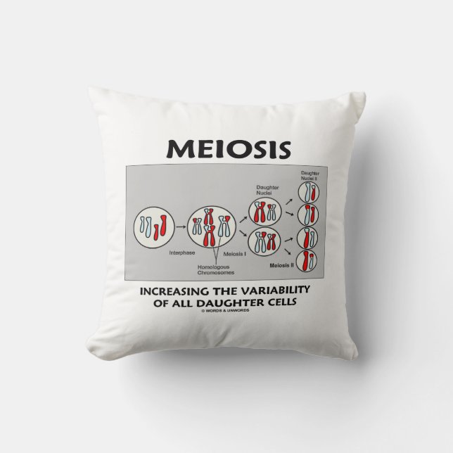 Coussin Meiose Variabilité Croissante Toutes Les Cellules  (Recto)