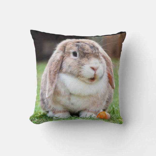 Coussin Mélange Lop Eared Rabbit dans l'herbe avec la caro (Recto)