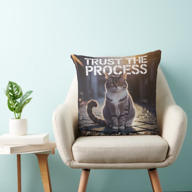 Coussin Même mon chat est tarifé - Faites confiance au pro (Chaise)