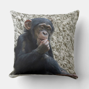 Coussin Mer de Chimpané 013