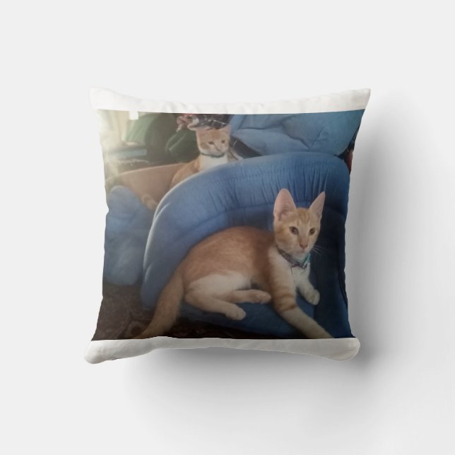 Coussin Merci Meilleure Mère de Chat Collage Photo Nom (Verso)