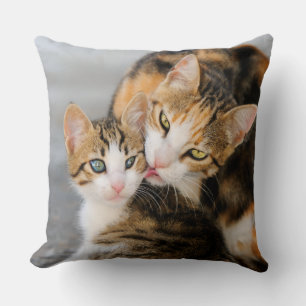 Coussin Mère chat adore chaton mignon