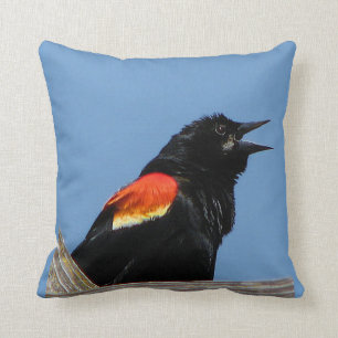 Coussin Merle à ailes rouges