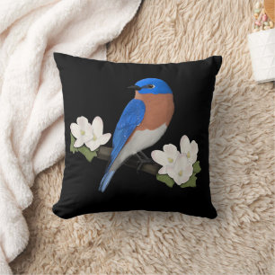 Coussin Merlebleu de l'Est Ornithophile Observateur d'oise