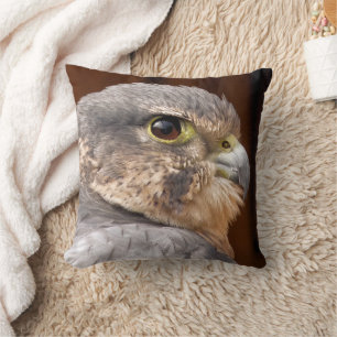 COUSSIN MERLIN FALCON OISEAU DE PREY