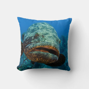Coussin Mérou géant de l'Atlantique
