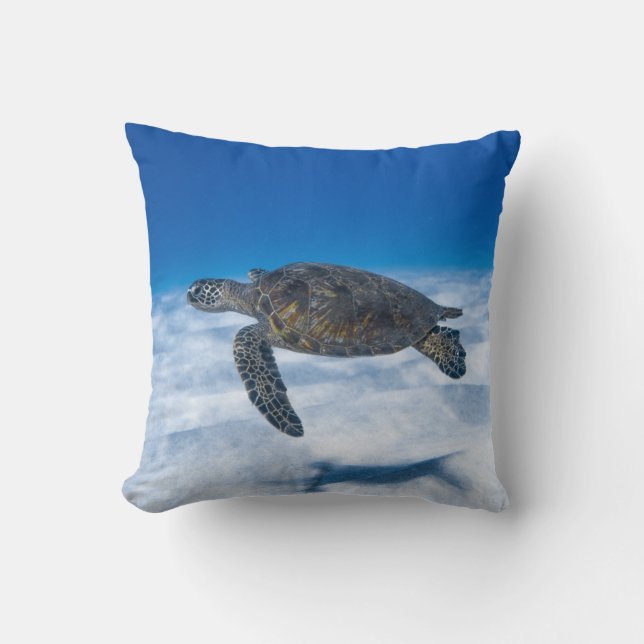 Coussin Merveilleuse tortue aquatique (Recto)