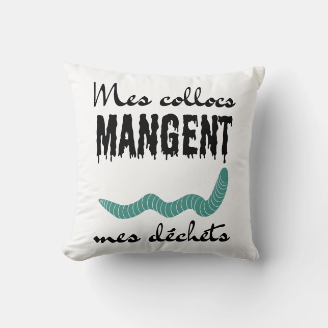 Coussin Mes collocs mangent mes déchets (Recto)