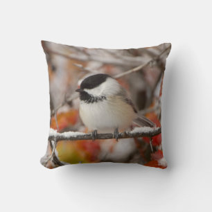 Coussin Mésange à tête noire adulte dans la neige