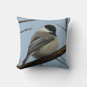 Coussin Mésange à tête noire B21