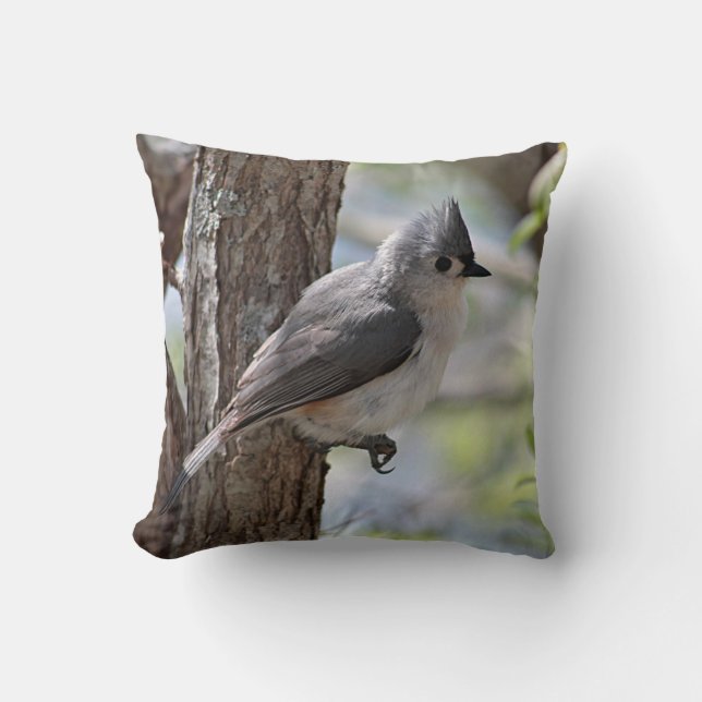 Coussin Mésange tuftée au printemps (Recto)