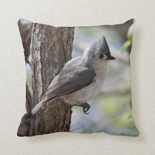 Coussin Mésange tuftée au printemps