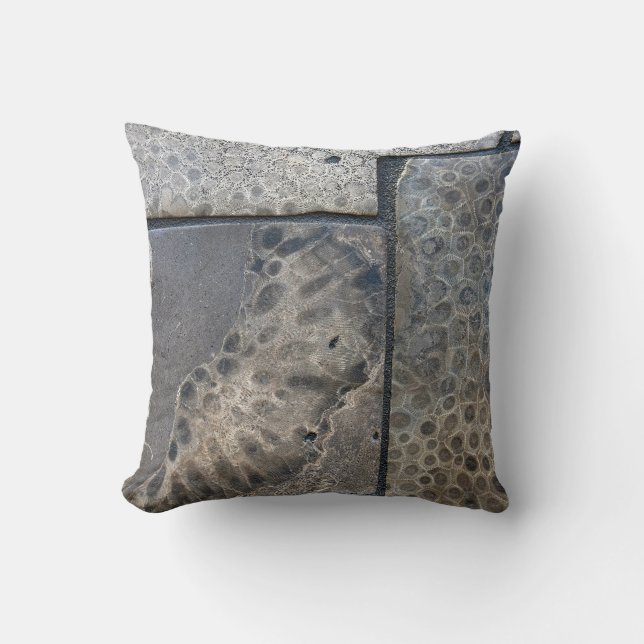 Coussin Michigan Petoskey Stone Design (Recto)
