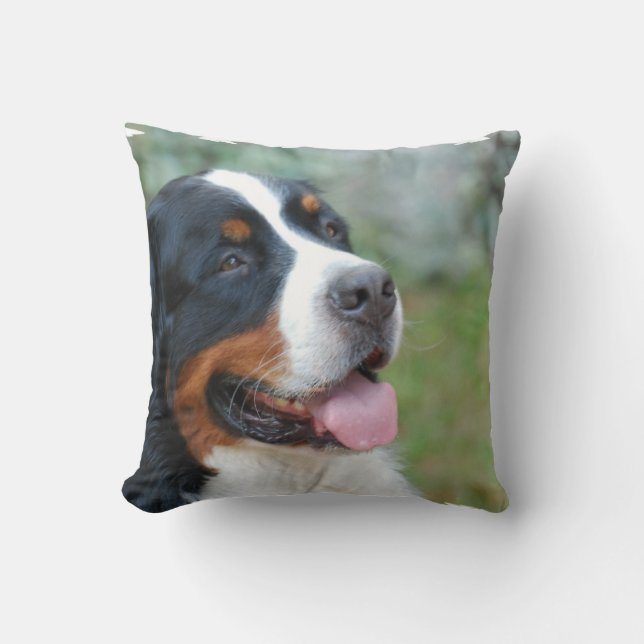 Coussin mignon de Bernese (Recto)