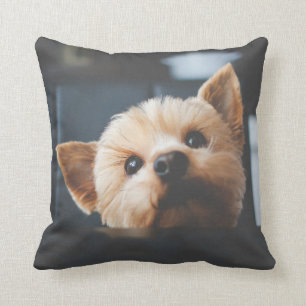 Coussin mignon de chiot de Yorkshire Terrier