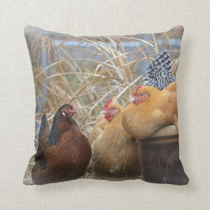 Coussin mignon de poulet