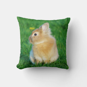 Coussin Mignonne Lapin Faune assis dans l'herbe