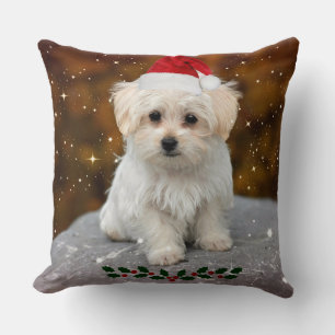 Coussin Mignonne Noël Père Noël Maltese Chiot