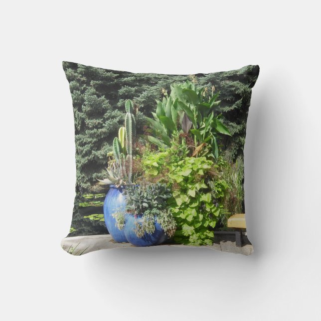 Coussin mis en pot de cactus (Recto)