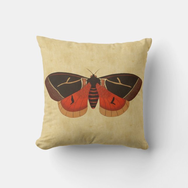 Coussin Mite vintage (Recto)