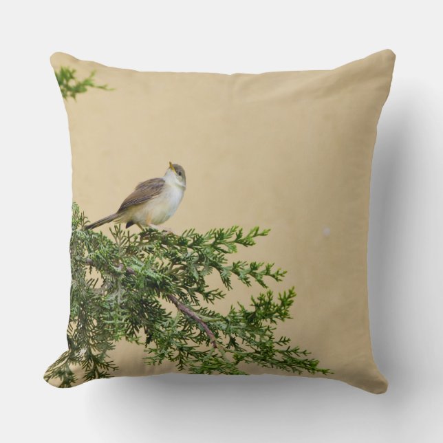 Coussin Moineau  (Recto)