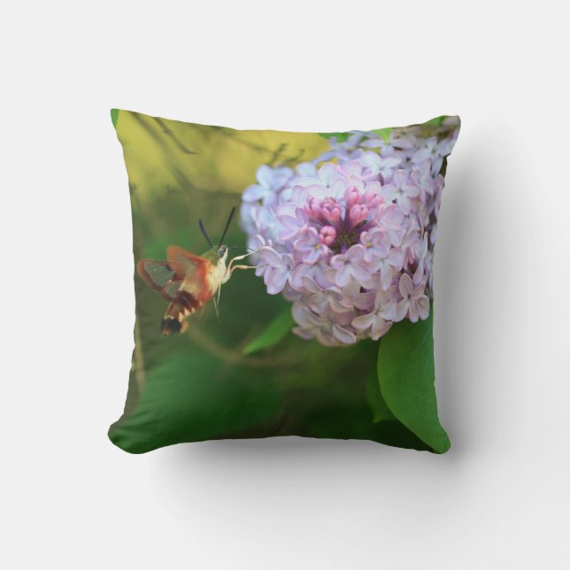 Coussin Mois des colibris (Recto)