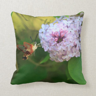 Coussin Mois des colibris
