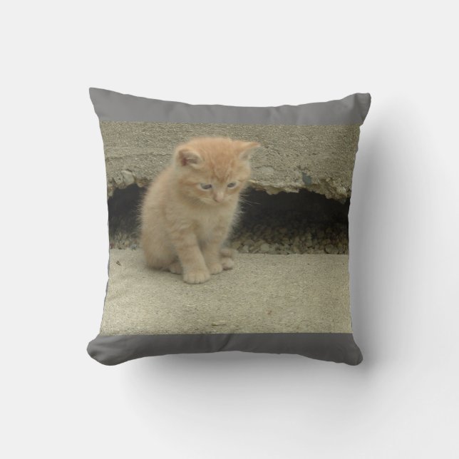 Coussin Mon adorable chaton orange tabby (Recto)