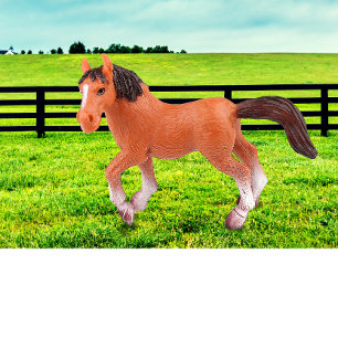 Coussin Mon cheval favori